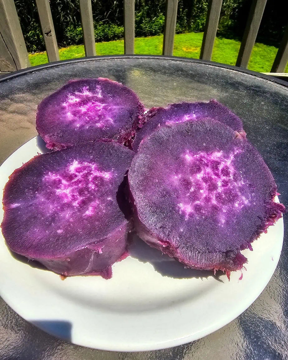 L’ube : l’aliment violet qui prend soin de ton ventre (et pas que)